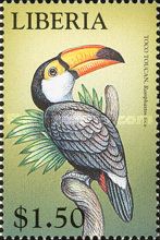 Common Toucan (Ramphastos toco)