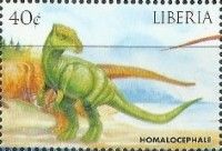 Homalocephalus