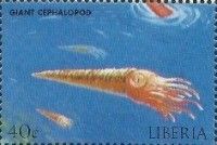 Giant Cephalopod