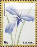 Herbertia lahue