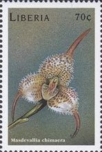 Masdevallia chimaera