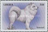 Samoyed