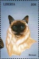 Birman