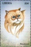 Himalayan