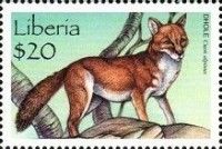 Dhole (Cuon alpinus)