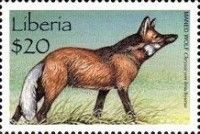 Maned Wolf (Chrysocyon brachyurus)
