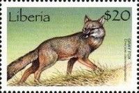 Gray Fox (Urocyon cinereoargentus)