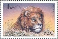 Lion (Panthera leo)