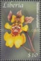 Oncidium urophyllum
