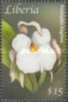 Trichopilia fragrans