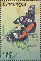 Ricini Longwing (Heliconius ricini)