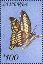 Giant Swallowtail (Papilio cresphontes)