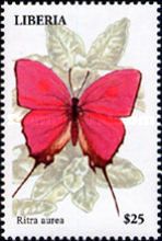 Ritra aurea