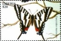 Zebra Swallowtail (Eurytides marcellus)