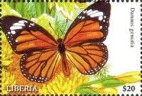 Common Tiger (Danaus genutia)