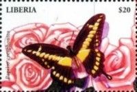 Giant Swallowtail (Papilio cresphontes)