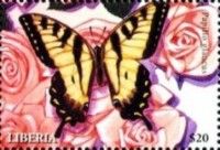 Eastern Tiger Swallowtail (Papilio glaucus)
