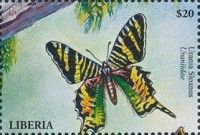 Sloane's Urania (Urania sloanus)