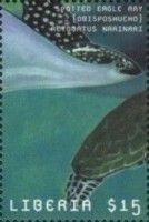 Aetobatus narinari