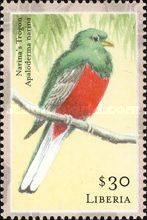 Narina's Trogon (Apaloderma narina)