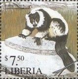 Ruffed Lemur (Varecia variegata)