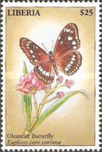 Common Crow (Euploea core)