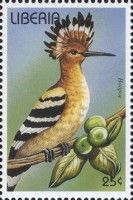 Eurasian Hoopoe (Upupa epops)