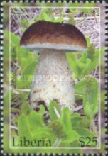 Boletus edulis
