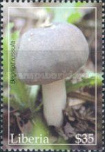 Russula adusta
