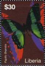 Broad Green-Banded Swallowtail (Papilio bromius)