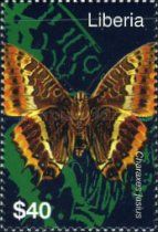 Two-tailed Pasha (Charaxes jasius)