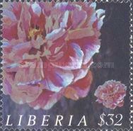Peony