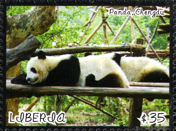 Giant Panda (Ailuropoda melanoleuca)