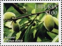 Almond (Prunus dulcis)