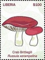 Crab Brittlegill (Russula xerampelina)