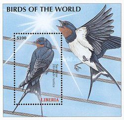 Barn Swallow (Hirundo rustica)