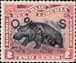 Pygmy Hippopotamus (Choeropsis liberiensis)
