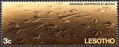 Dinosaur footprints in Moyeni