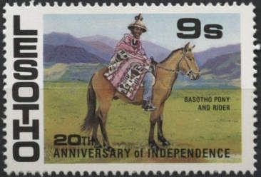 Basotho Pony (Equus ferus caballus), Rider