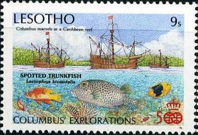 Spotted Trunkfish (Lactophrys bicaudalis)