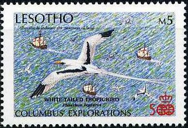 White-tailed Tropicbird (Phaethon lepturus)