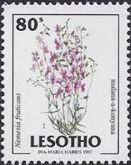 Nemesia fruticans