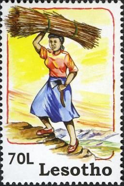 Mankind (Women)