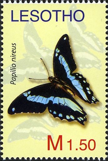 Green-banded Swallowtail (Papilio nireus)