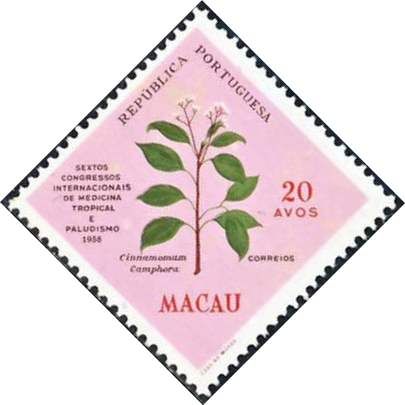 6th Congress of tropical medicine
