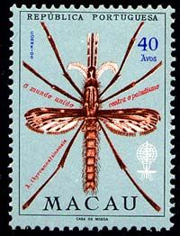 Anopheles Mosquito (Anopheles sinensis), Malaria eradication