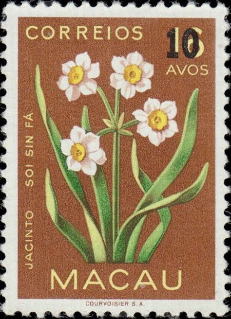 Narcissus - surcharged