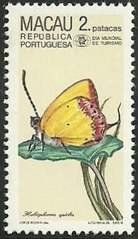 Purple Sapphire (Heliophorus epicles)