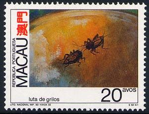 Crickets Fighting