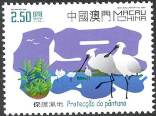 Protection of Birds - Black-faced Spoonbill (Platalea minor)